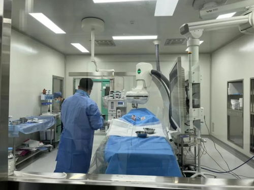 蛰伏二十载，产品全线出击 兽医医疗器械龙头借A轮融资刷新纪录，加速国产替代浪潮