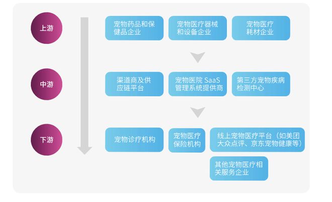 中兽医如何撬动百亿消费医疗市场 兽医器具的创新与机遇