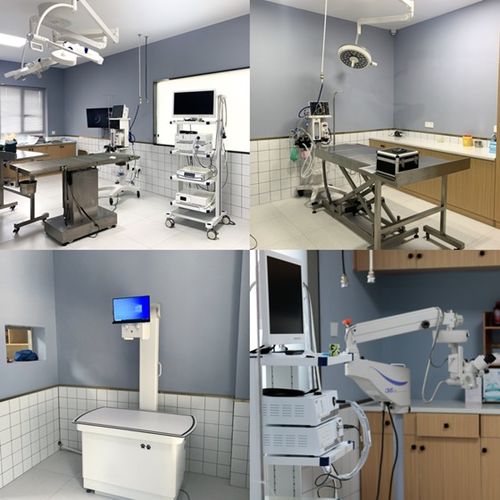 重量级宠物医院今日盛大开业，湖南仁才动物医院再启航